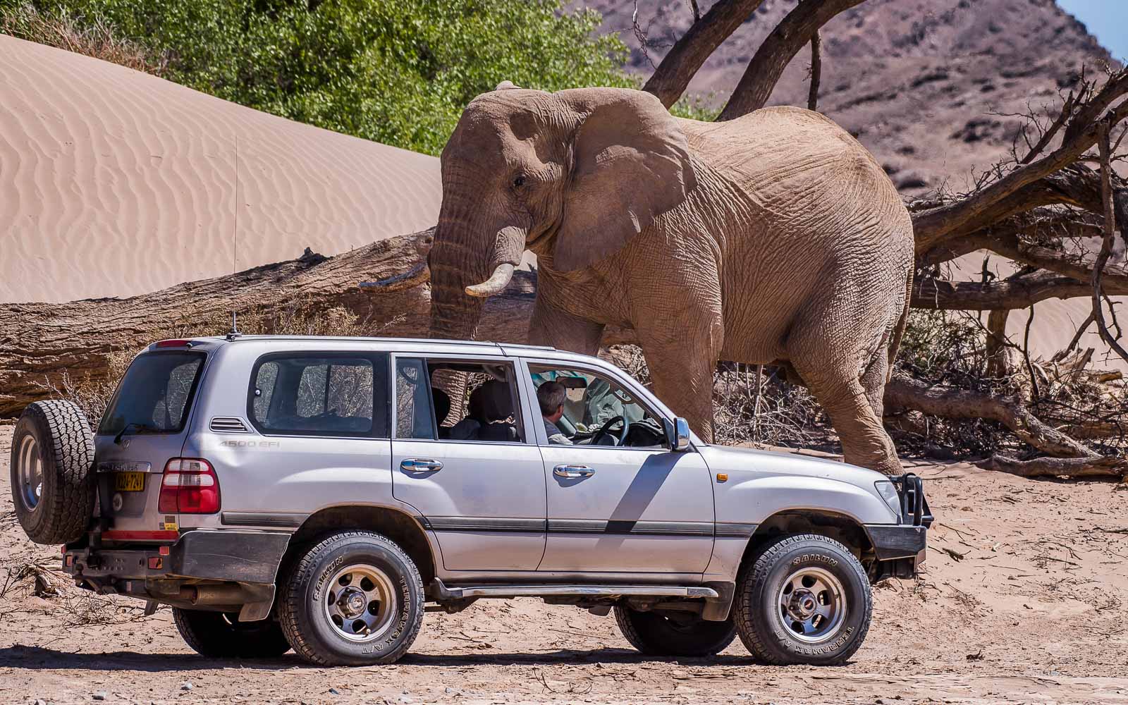 Teamgeist wird auf der 4x4 Experience groß geschrieben!