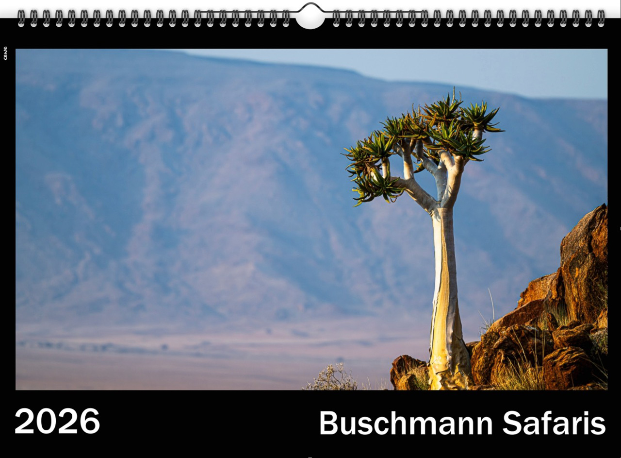 kalender allgemein 01